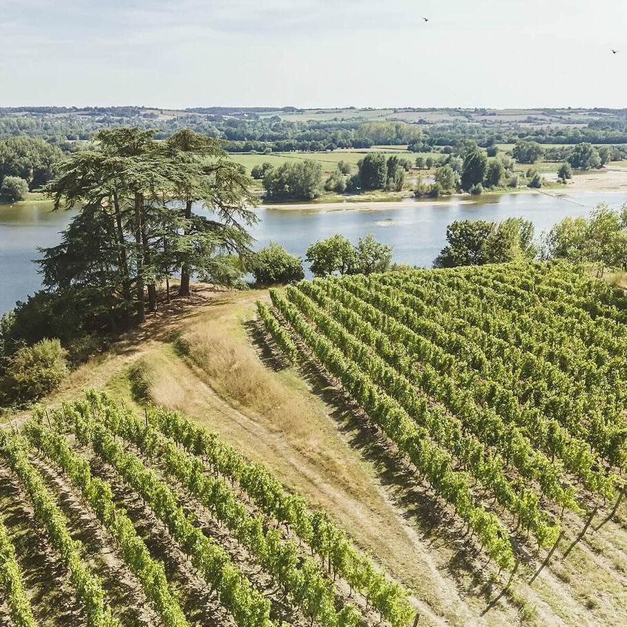 Domaine du Closel